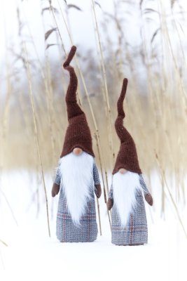 tomte-valter