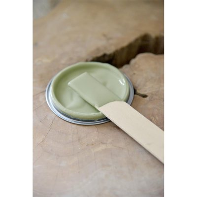 vintage-paint-moss-green