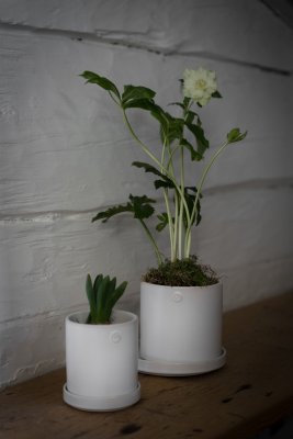 Vita stengodskrukor med fat och slät struktur från Ernst med julblommor mot en vitmålad timmervägg på en träbänk.